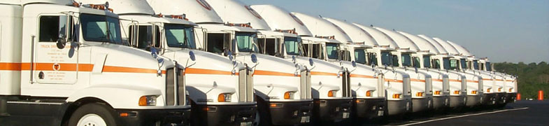 `CDL `National